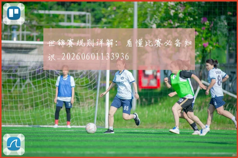 世锦赛规则详解：看懂比赛必备知识_20260601133936