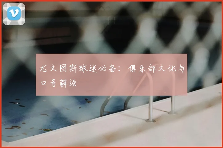 尤文图斯球迷必备:俱乐部文化与口号解读