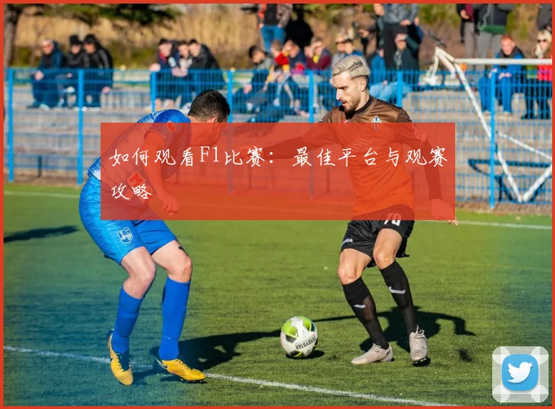 如何观看F1比赛：最佳平台与观赛攻略
