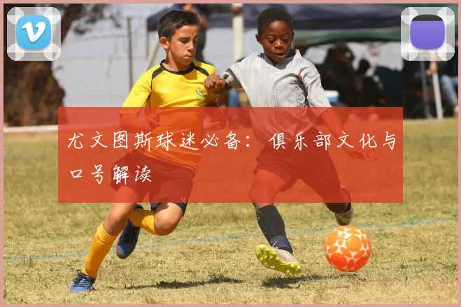 尤文图斯球迷必备:俱乐部文化与口号解读