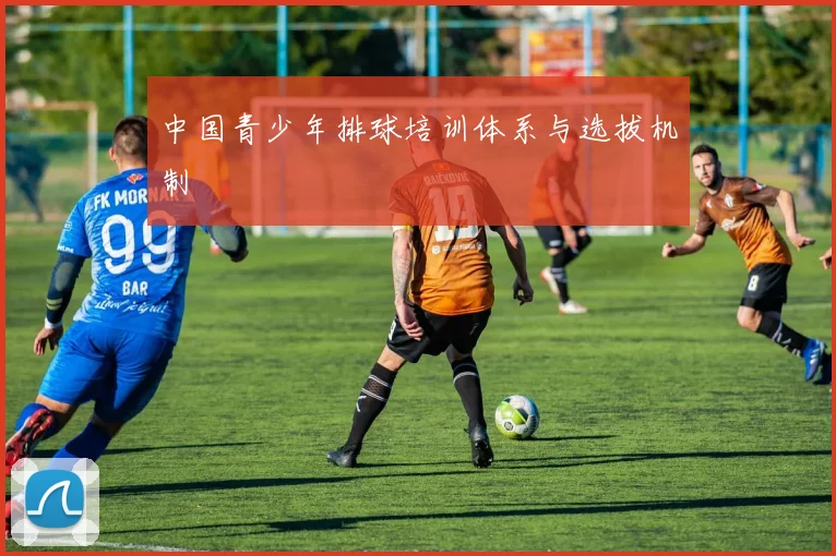 中国青少年排球培训体系与选拔机制