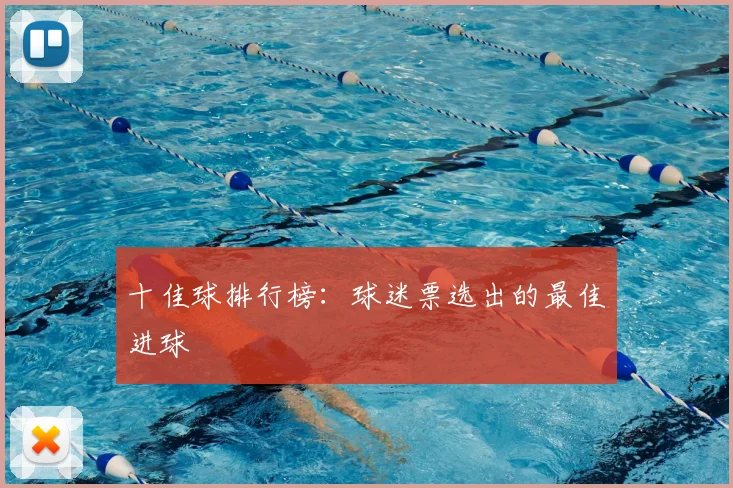 十佳球排行榜：球迷票选出的最佳进球