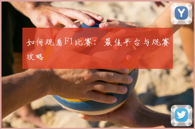 如何观看F1比赛：最佳平台与观赛攻略